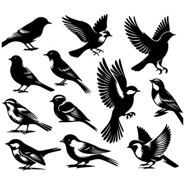 Tasarım için siyah kuş siluet vektör elementleri kümesi.