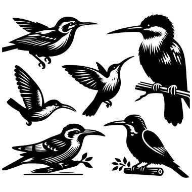 Tasarım için siyah kuş siluet vektör elementleri kümesi.