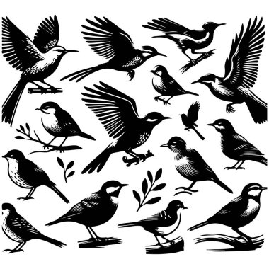 Tasarım için siyah kuş siluet vektör elementleri kümesi.