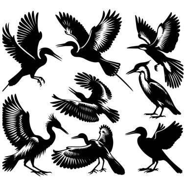Tasarım için siyah kuş siluet vektör elementleri kümesi.