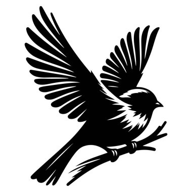 Tasarım için siyah kuş siluet vektör elementleri kümesi.