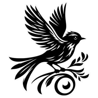 Tasarım için siyah kuş siluet vektör elementleri kümesi.