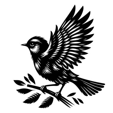 Tasarım için siyah kuş siluet vektör elementleri kümesi.