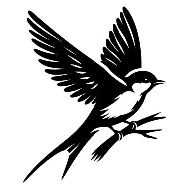 Tasarım için siyah kuş siluet vektör elementleri kümesi.