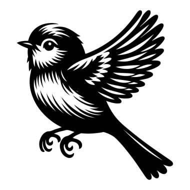 Tasarım için siyah kuş siluet vektör elementleri kümesi.