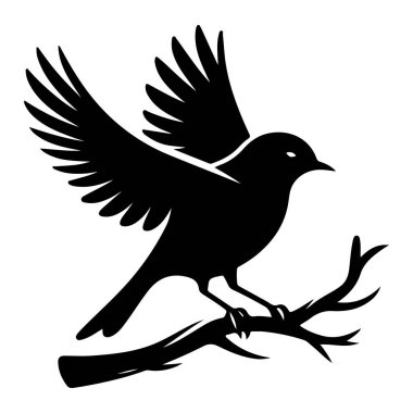 Tasarım için siyah kuş siluet vektör elementleri kümesi.