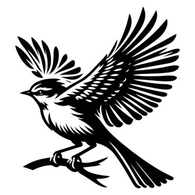 Tasarım için siyah kuş siluet vektör elementleri kümesi.