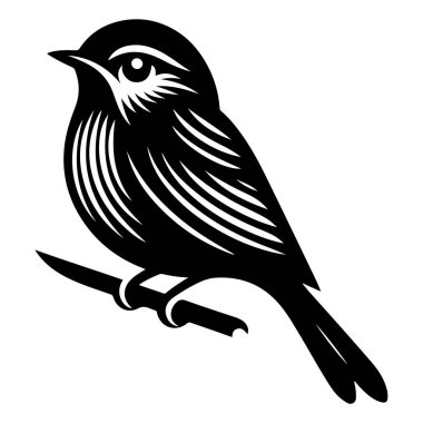 Tasarım için siyah kuş siluet vektör elementleri kümesi.