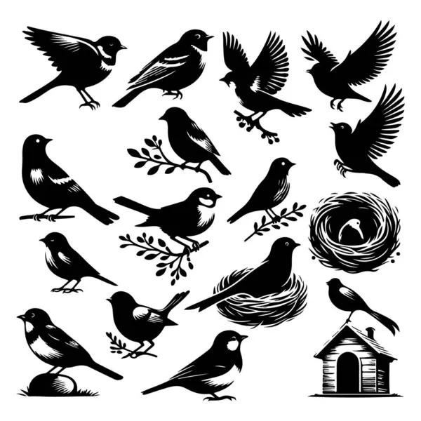 Tasarım için siyah kuş siluet vektör elementleri kümesi.
