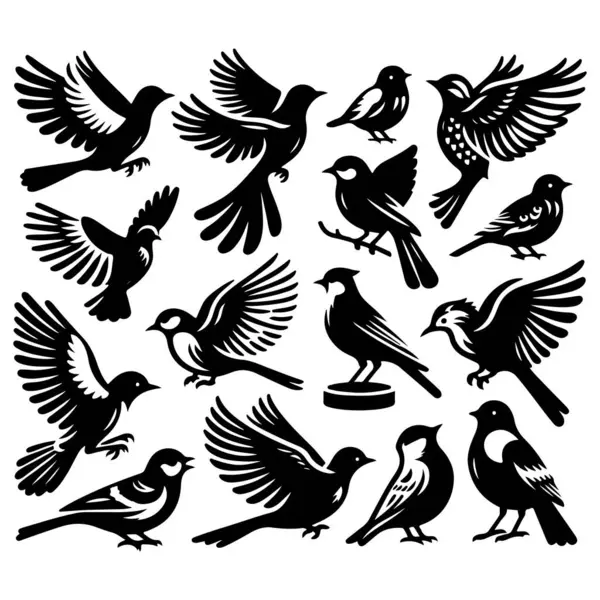 Tasarım için siyah kuş siluet vektör elementleri kümesi.