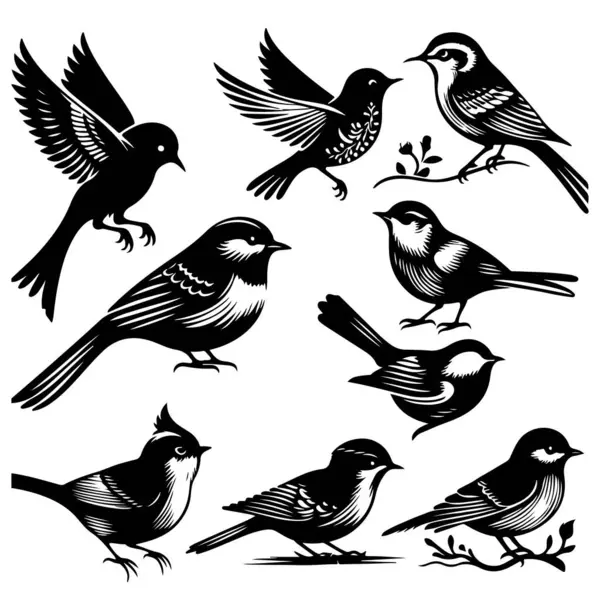 Tasarım için siyah kuş siluet vektör elementleri kümesi.