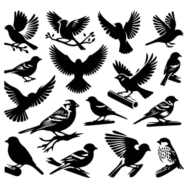 Tasarım için siyah kuş siluet vektör elementleri kümesi.