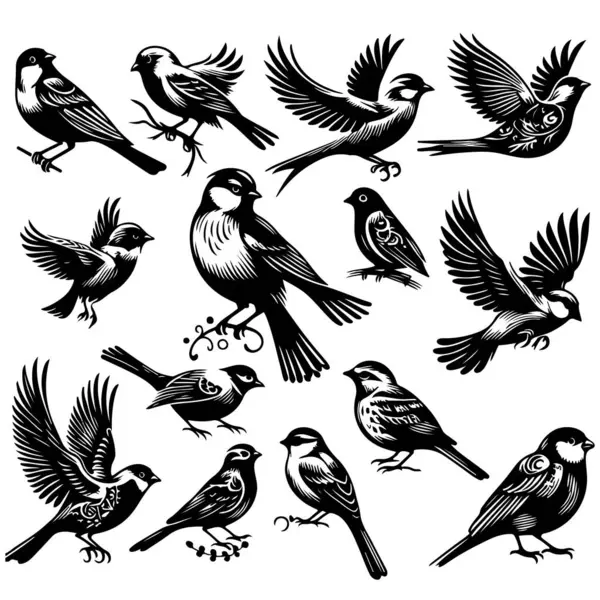 Tasarım için siyah kuş siluet vektör elementleri kümesi.
