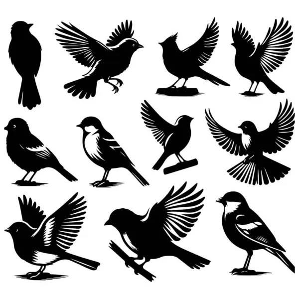 Tasarım için siyah kuş siluet vektör elementleri kümesi.