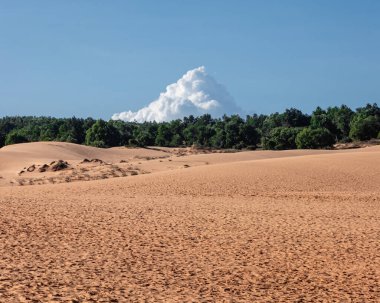 Mui Ne, Vietnam 'daki kırmızı kum tepeciklerindeki ağaçların arasından bakan bir kümülonimbus bulutu..