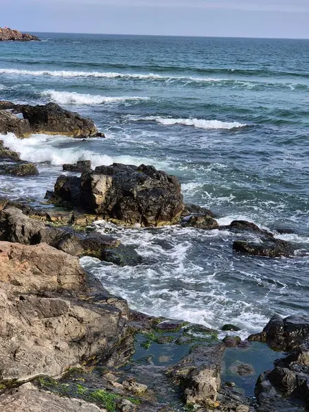 Dalgalar sahile çarpıyor.