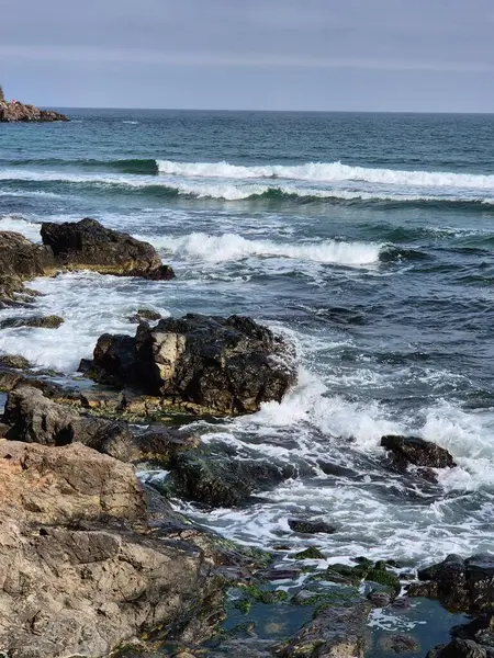 Dalgalar sahile çarpıyor.