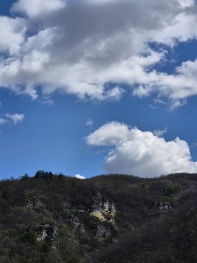 Ağacı ve mavi gökyüzü olan güzel bir manzara.