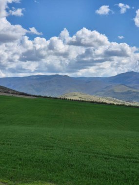 Yeşil çimenleri ve mavi gökyüzü olan güzel bir manzara.