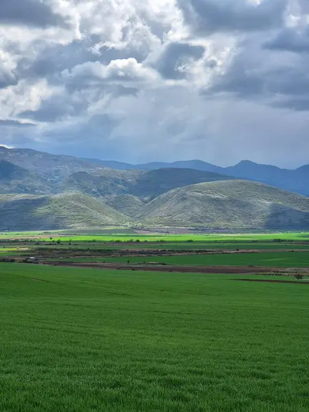 Bir dağ ve gölü olan güzel bir manzara.