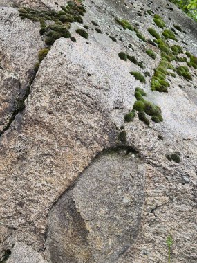 Yosun kaplı taş duvar.