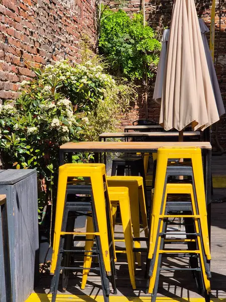 Parlak sarı sandalyeli, şemsiyeli ve yeşillikli bir kafe.