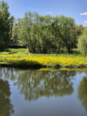 Nehir, ağaçlar ve çiçek açan sarı çayırlar olan güzel bir manzara.