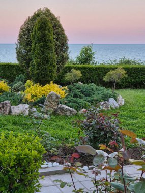 Kozalaklı ve çiçekli çalılarla denizin arka planına karşı manzara tasarımı