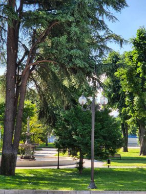 Yeşil ağaçlı, çeşmeli ve banklı bahar parkı