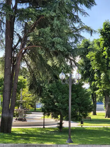 Yeşil ağaçlı, çeşmeli ve banklı bahar parkı