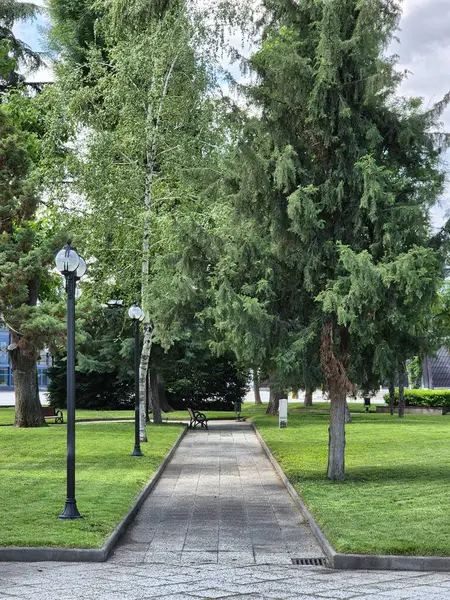 Parktaki ağaçların arasında bir sokak