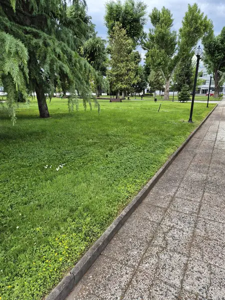 Asker böcekler yerde.