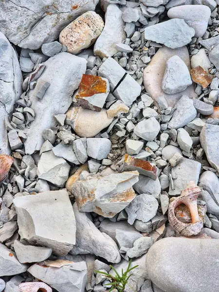 Taşların dağılması. Sahildeki taşlar. Beyaz kayalar. Kaya dokusu. Deniz. yaz