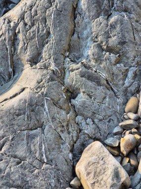 Kayada kayalık. Denize yakın bir kaya parçası. Kayanın dokulu yüzeyi. beyaz kayalar