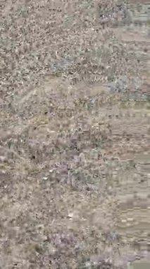 Yaz. Deniz. Toprak seti. En saf deniz sörfü. Dalgalar. Deniz çakıl taşları. plaj