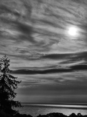  Deniz üzerinde dramatik bir gün doğumu. Gün doğumu ve ağaç siluetiyle deniz manzarası. Siyah ang beyaz fotoğraf