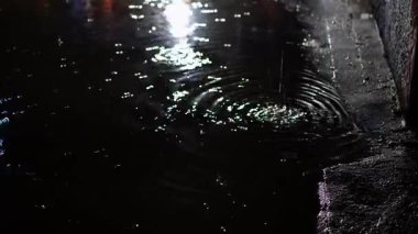 Yağmurlu bir gecede su birikintilerinden uzak duran bir Walker.