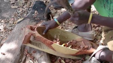 Batı Afrika Ağaç Heykeltraşı