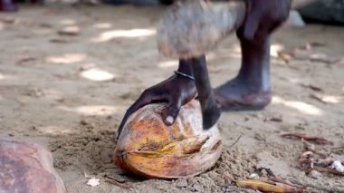Afrikalı adam baltayla hindistan cevizi kırıyor.