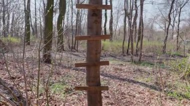 El yapımı merdiven ve ağaç üzerine kurulmuş bir platform