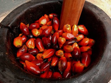 Tahta havan topu içindeki fındık manzarası. Tahta havan ve tokmak kullanarak avuç içi fındık ezmek. Gana palmiye fıstığı çorbası ve palmiye yağı yapma süreci.