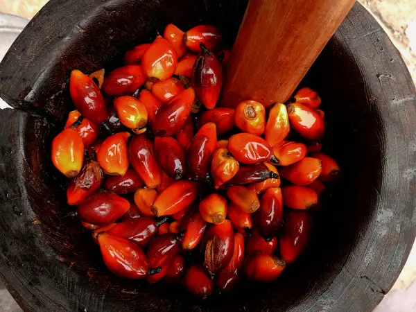 Tahta havan topu içindeki fındık manzarası. Tahta havan ve tokmak kullanarak avuç içi fındık ezmek. Gana palmiye fıstığı çorbası ve palmiye yağı yapma süreci.