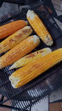 Geleneksel kömür tenceresinde mısırı ızgarada pişirmek ve evde kömür yakmak. Farklı boyutlarda mısır kavurması, çıplak elle Zea mays. Evde kuru sıcak yemek pişirme metodu.