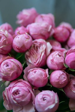 Çiçek duvarı arka planında harika güller var