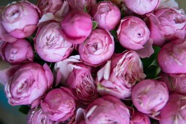 Çiçek duvarı arka planında harika güller var