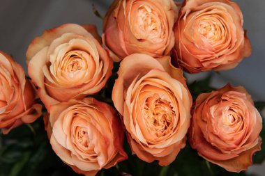 Backdrop of colorful paper roses background in a wedding reception with soft colors.