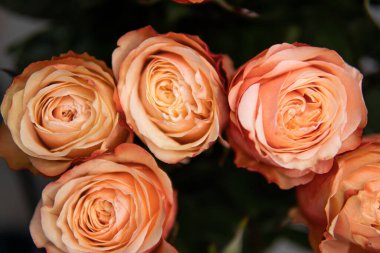 Backdrop of colorful paper roses background in a wedding reception with soft colors.
