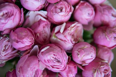 Backdrop of colorful paper roses background in a wedding reception with soft colors.