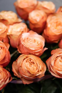 Backdrop of colorful paper roses background in a wedding reception with soft colors.