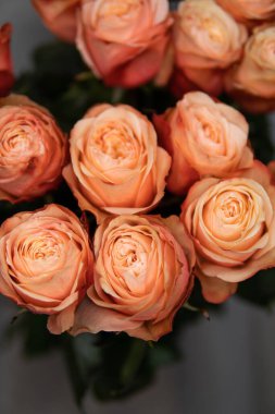 Çiçek duvarı arka planında harika güller var